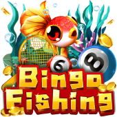 Bingo Fishing on PyCharm